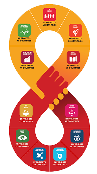 EAA's Impact on the SDGs