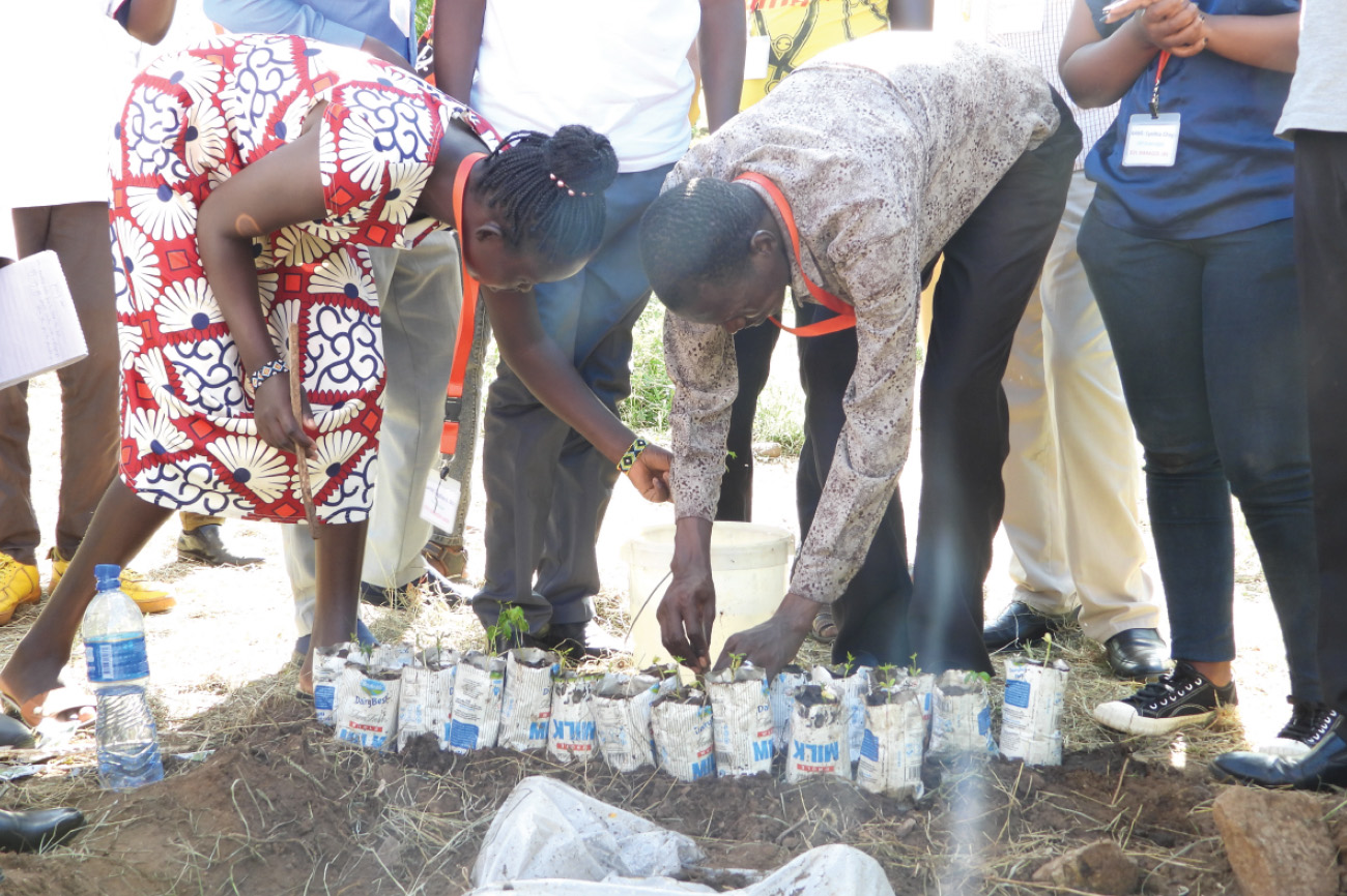 Students preparing seedlings for planting.